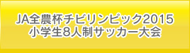 JA全農杯チビリンピック2015小学生8人制サッカー大会