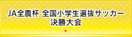 JA全農杯チビリンピック2018小学生8人制サッカー大会