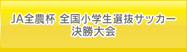 JA全農杯チビリンピック2018小学生8人制サッカー大会